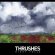 884385650018_thumb.jpg